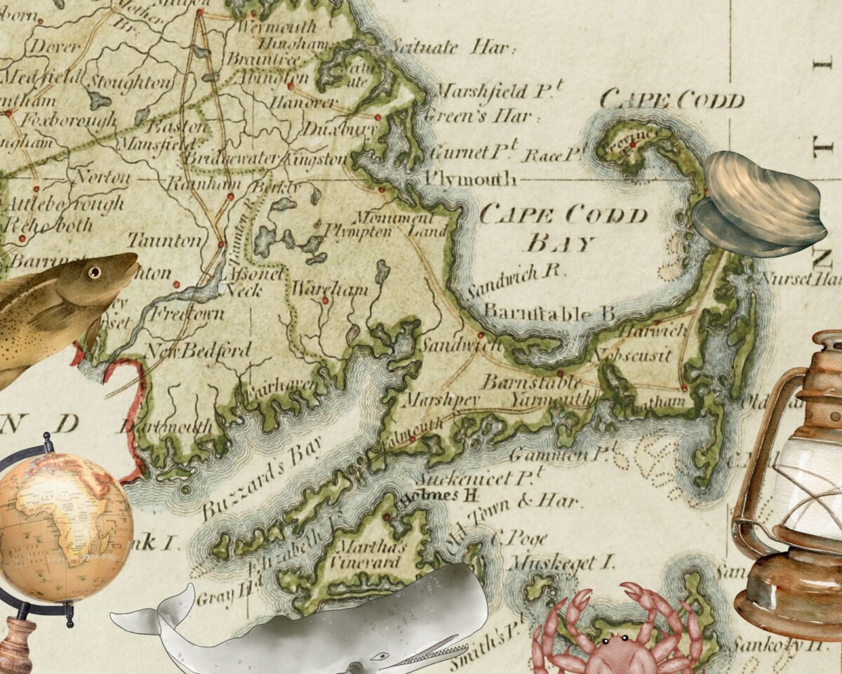 Cape Tip Seafood bg