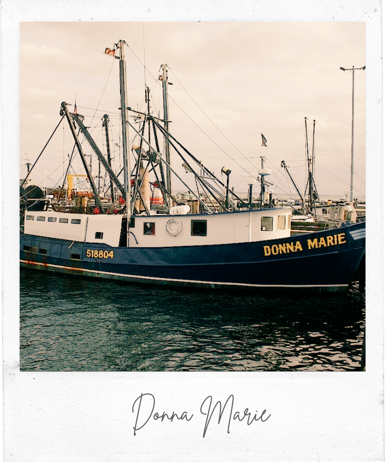 donna-marie-wholesale-seafood-provincetown