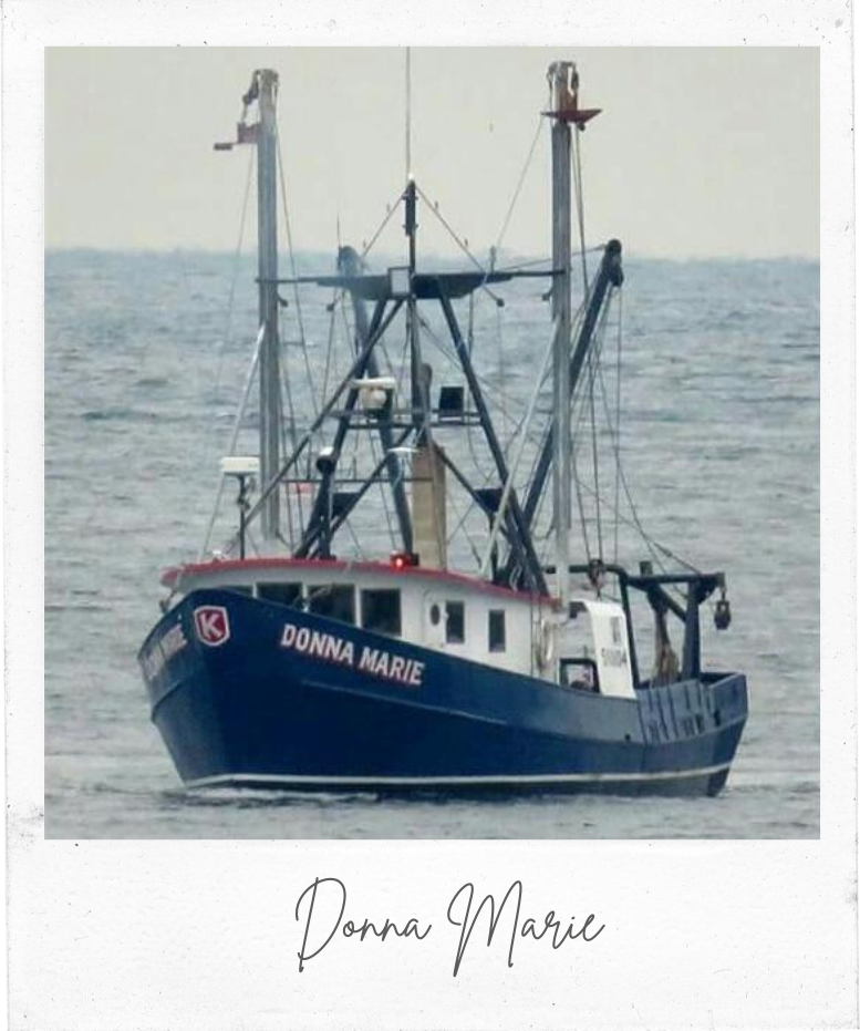 Cape Tip Seafood Donna Marie Fresh Seafood