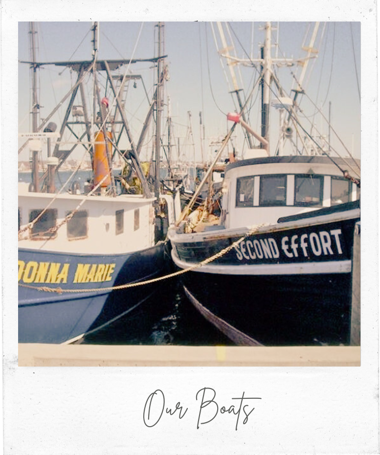 Cape Tip Seafood Donna Marie Second Effort