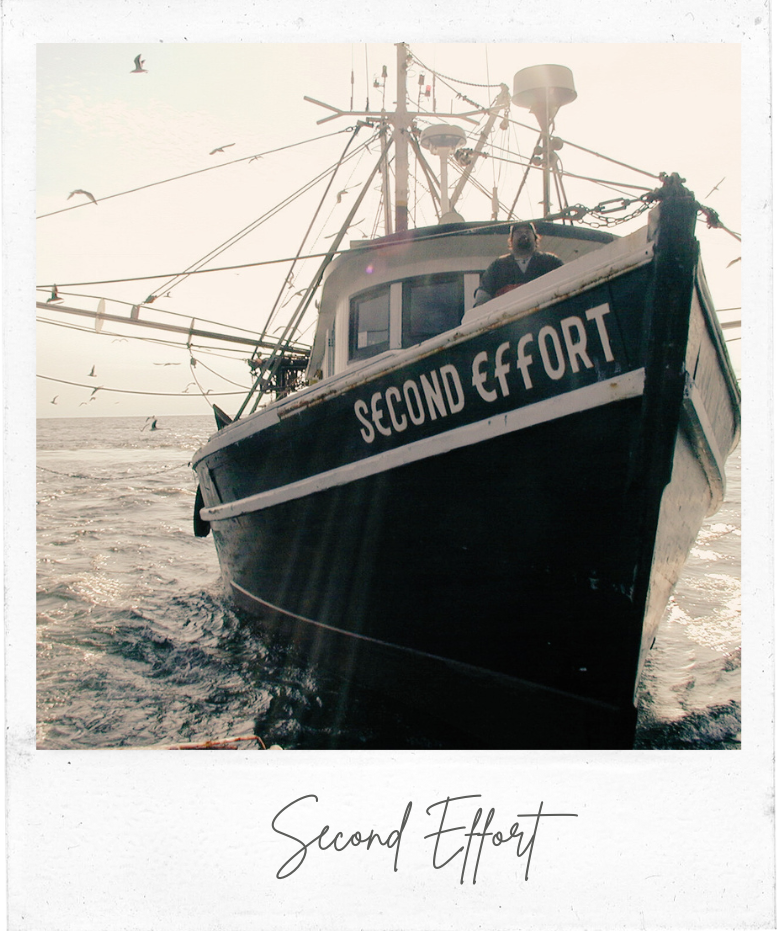 Cape Tip Seafood Second Effort